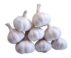 Wonderful Garlic!