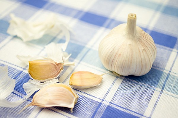 Garlic on Tablecloth